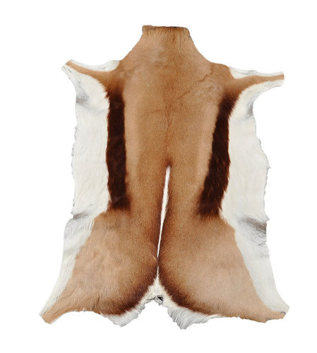 Antelope Skin 85 x 60 cm