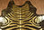 Premium Kuhfell Stierfell schwarz gold mit Zebra Optik 210 x 180 cm
