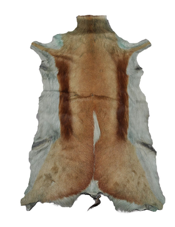 Antelope Skin 90 x 60 cm